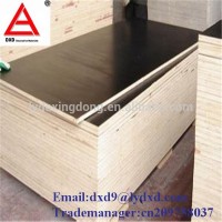 Marine Film Faced Plywood/Shuttering Exterior Plywood/Construction Plywood