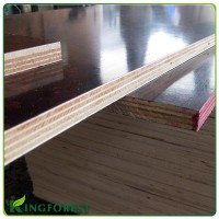 construction/furniture lvl/lvb plywood sheet with great price