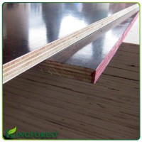 marina plywood for concrete formwork with high quality