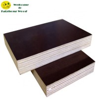 Shuttering Plywood Dubai